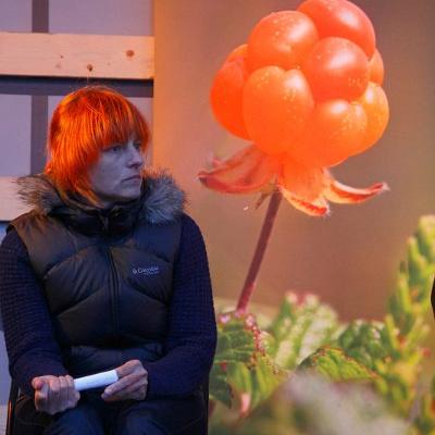 2011 Roheliste Rattaretk Kuidas Elad Saaremaa 145 20170321 1418670415