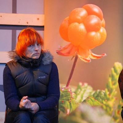 2011 Roheliste Rattaretk Kuidas Elad Saaremaa 146 20170321 1939810249