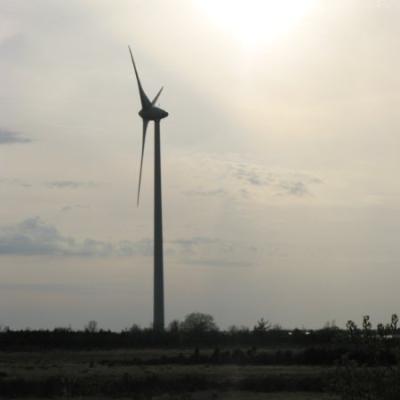 2011 Roheliste Rattaretk Kuidas Elad Saaremaa 244 20170321 1683025204