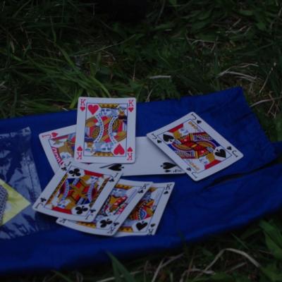 2011 Roheliste Rattaretk Kuidas Elad Saaremaa 355 20170321 2095313703