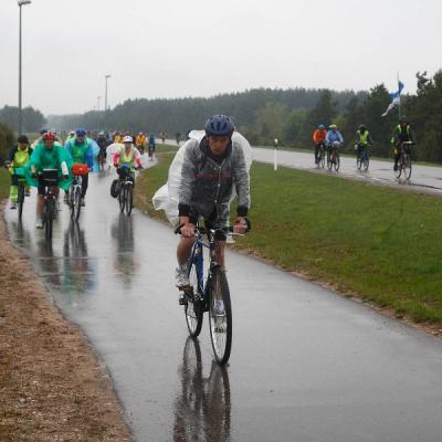 2011 Roheliste Rattaretk Kuidas Elad Saaremaa 50 20170321 1868865021