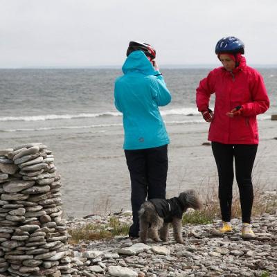 2011 Roheliste Rattaretk Kuidas Elad Saaremaa 77 20170321 1454005010