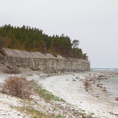 2011 Roheliste Rattaretk Kuidas Elad Saaremaa 78 20170321 1555763075