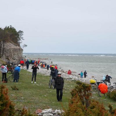 2011 Roheliste Rattaretk Kuidas Elad Saaremaa 84 20170321 1312026719