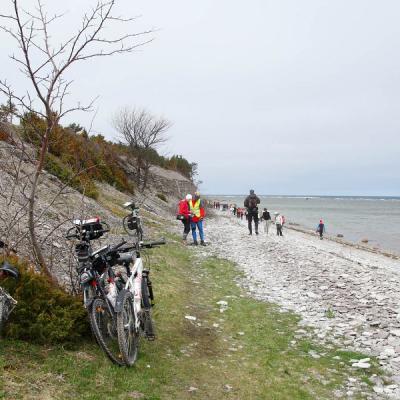 2011 Roheliste Rattaretk Kuidas Elad Saaremaa 85 20170321 1493658735