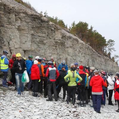 2011 Roheliste Rattaretk Kuidas Elad Saaremaa 86 20170321 1372273349