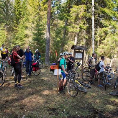 2013 Roheliste Rattaretk Kuidas Elad Pandivere 20170322 1053660950