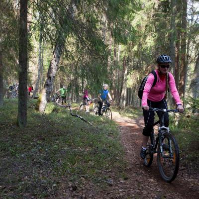 2013 Roheliste Rattaretk Kuidas Elad Pandivere 20170322 1432649525