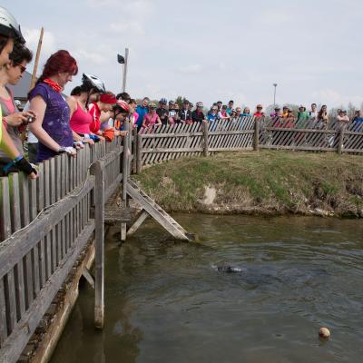 2013 Roheliste Rattaretk Kuidas Elad Pandivere 20170322 1533134861