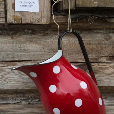 2013 Roheliste Rattaretk Kuidas Elad Pandivere 20170322 1632941263