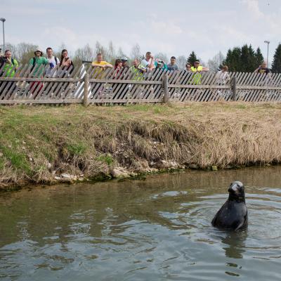 2013 Roheliste Rattaretk Kuidas Elad Pandivere 20170322 2007687514