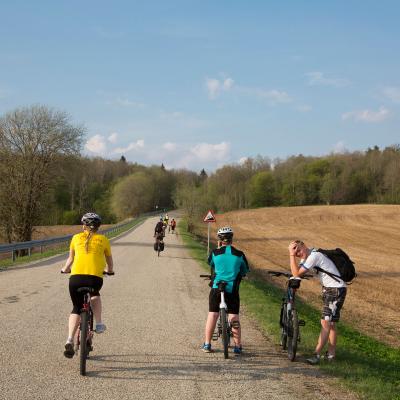 2013 Roheliste Rattaretk Kuidas Elad Pandivere 20170322 2069046756