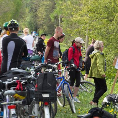 2014 Roheliste Rattaretk Kuidas Elad Maerjamaa 20170322 1104828962