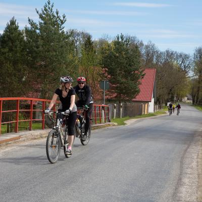 2014 Roheliste Rattaretk Kuidas Elad Maerjamaa 20170322 1135785980