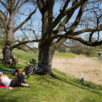 2014 Roheliste Rattaretk Kuidas Elad Maerjamaa 20170322 1283726994