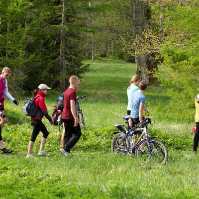 2014 Roheliste Rattaretk Kuidas Elad Maerjamaa 20170322 1373877298