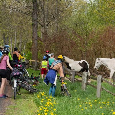 2014 Roheliste Rattaretk Kuidas Elad Maerjamaa 20170322 1395967806