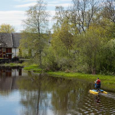 2014 Roheliste Rattaretk Kuidas Elad Maerjamaa 20170322 1625541228