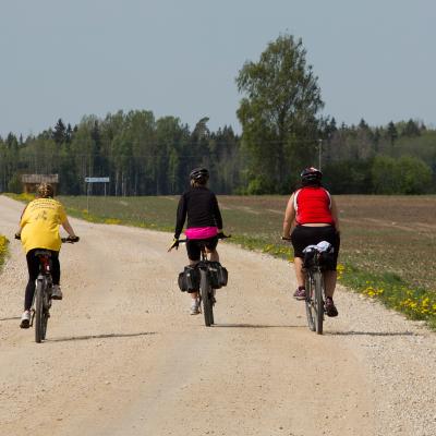 2014 Roheliste Rattaretk Kuidas Elad Maerjamaa 20170322 1626593924