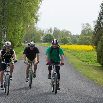 2014 Roheliste Rattaretk Kuidas Elad Maerjamaa 20170322 1851101558