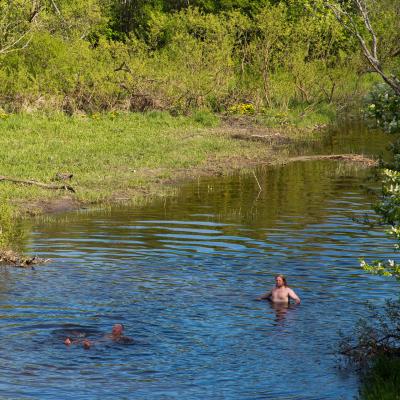 2014 Roheliste Rattaretk Kuidas Elad Maerjamaa 20170322 1886527011
