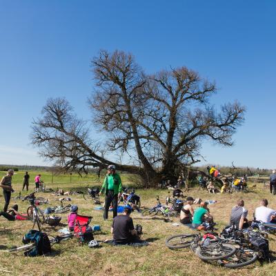 2014 Roheliste Rattaretk Kuidas Elad Maerjamaa 20170322 1959650490