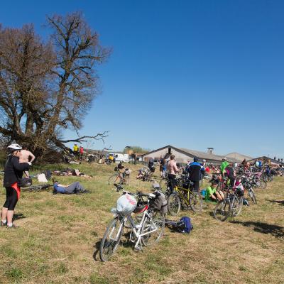 2014 Roheliste Rattaretk Kuidas Elad Maerjamaa 20170322 2024295858