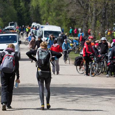 2015 Roheliste Rattaretk Kuidas Elad Haanjamaa 133 20180123 1702513300