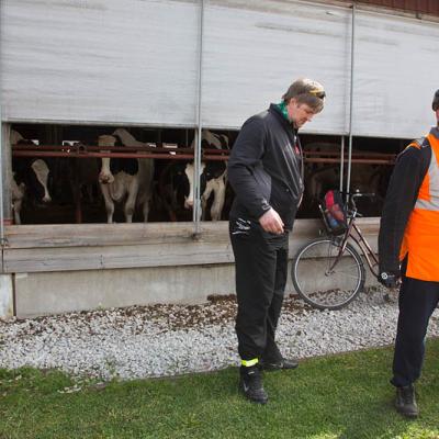 2015 Roheliste Rattaretk Kuidas Elad Haanjamaa 201 20180123 1269124132