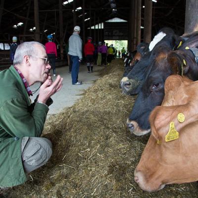 2015 Roheliste Rattaretk Kuidas Elad Haanjamaa 202 20180123 1046071110