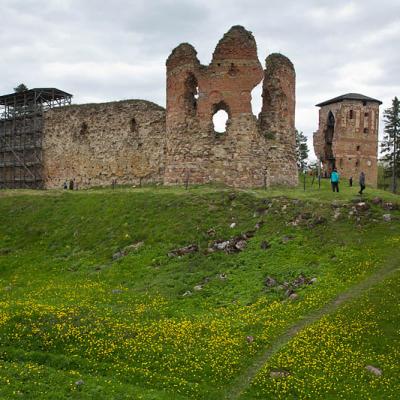 2015 Roheliste Rattaretk Kuidas Elad Haanjamaa 246 20180123 1170709759