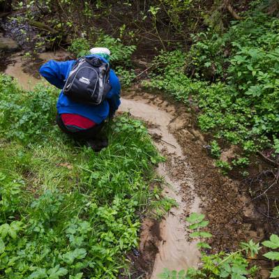 2015 Roheliste Rattaretk Kuidas Elad Haanjamaa 94 20180123 1574346475