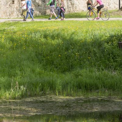 2016 Roheliste Rattaretk Kuidas Elad Poltsamaa 20160614 1074338085