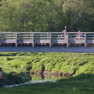 2016 Roheliste Rattaretk Kuidas Elad Poltsamaa 20160614 1290055018