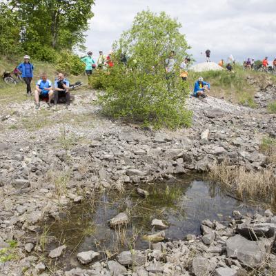 2016 Roheliste Rattaretk Kuidas Elad Poltsamaa 20160614 1525806859