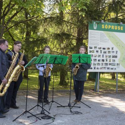 2016 Roheliste Rattaretk Kuidas Elad Poltsamaa 20160614 1536773862