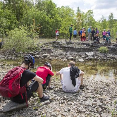 2016 Roheliste Rattaretk Kuidas Elad Poltsamaa 20160614 1565010812