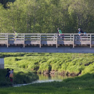 2016 Roheliste Rattaretk Kuidas Elad Poltsamaa 20160614 1633950700