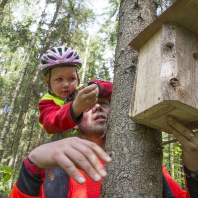 2016 Roheliste Rattaretk Kuidas Elad Poltsamaa 20160614 1856327576