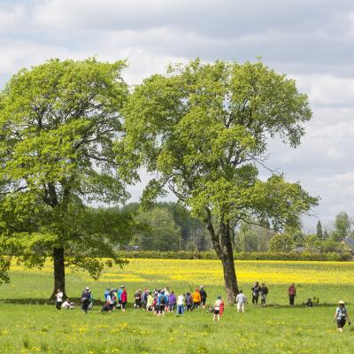 2016 Roheliste Rattaretk Kuidas Elad Poltsamaa 20160614 1940404275