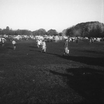 1989 Rattaretk 1 057 A Varinurm