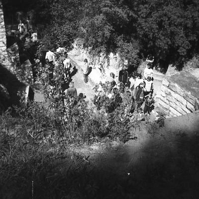 1989 Rattaretk 1 065 A Varinurm