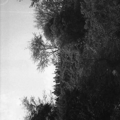 1989 Rattaretk 2 046 A Varinurm