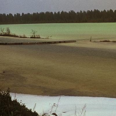 1989 Roheliste Rattaretk Kuhu Laehed Virumaa 20160617 1724196777