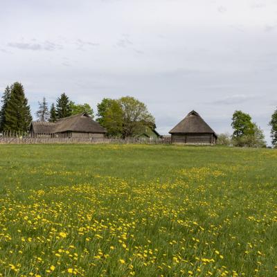 2018 Roheliste Rattaretk Kuidas Elad Korvemaa 135 20180707 1241828699