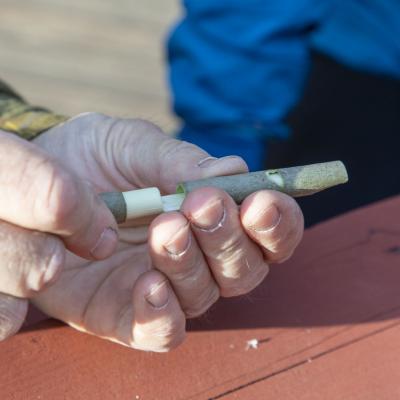 2018 Roheliste Rattaretk Kuidas Elad Korvemaa 178 20180707 2017663285