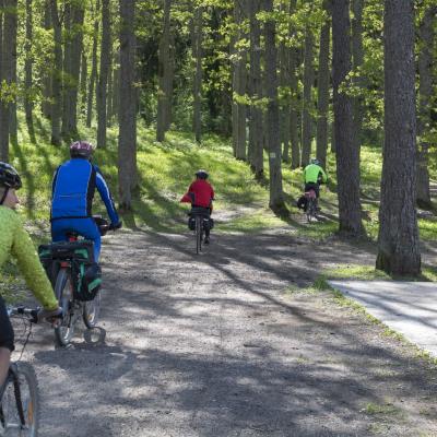 2018 Roheliste Rattaretk Kuidas Elad Korvemaa 223 20180707 1639073323