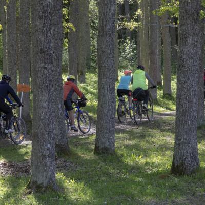 2018 Roheliste Rattaretk Kuidas Elad Korvemaa 225 20180707 1909531298