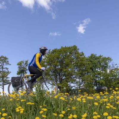 2018 Roheliste Rattaretk Kuidas Elad Korvemaa 269 20180707 1693017630