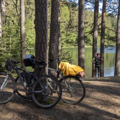 2018 Roheliste Rattaretk Kuidas Elad Korvemaa 291 20180707 1411268559